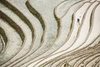 Man Working in Rice Terraces (#1, color, horizontal)