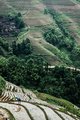 Woman Working on Longsheng Rice Terraces