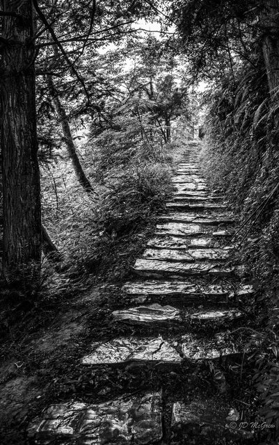 Trail to Longsheng Rice Terraces