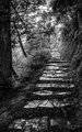 Trail to Longsheng Rice Terraces