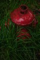 Hot Red Fire Hydrant Hidiing in Green Grass