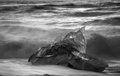 Iceberg at the Edge of the Arctic Sea (#4, black and white, horizontal)