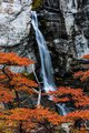 Chorrillo (creek) del Salto (waterfall) with Fall Color (2016)