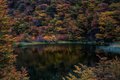 Patagonia Pond with Fall Color Reflections