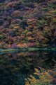 Patagonia Pond with Fall Color Reflections