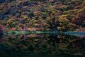 Patagonia Pond with Fall Color Reflections
