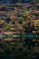 Patagonia Pond with Fall Color Reflections