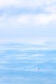 A Lonely Vessel Bobs on a Turquoise Sea