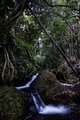 Waterfall on the Onomea Bay Trail