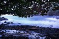 A Cove on Onomea Bay at Twilight