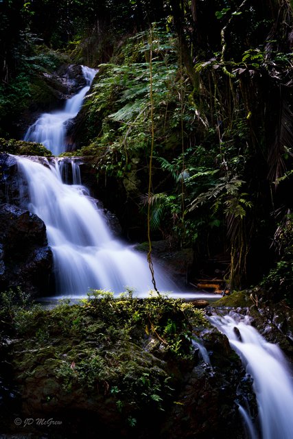 Waterfalls at Hawaii Tropical Botanical Garden #1