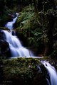 Waterfalls at Hawaii Tropical Botanical Garden #1