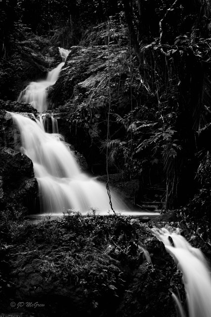 Waterfalls at Hawaii Tropical Botanical Garden #2, black and white