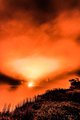 Steam Vents at Kilauea Caldera Turn the Sky Orange #2, Vertical