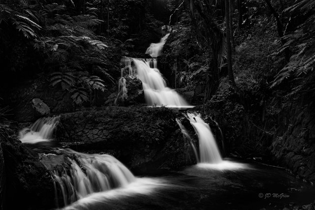 Waterfalls at Hawaii Tropical Botanical Garden #5, black and white