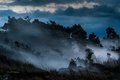 Fog at Steam Vents at Kilauea Caldera