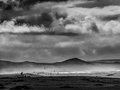 Deep in Meditation at Kehoe Beach, Tomales Bay #1