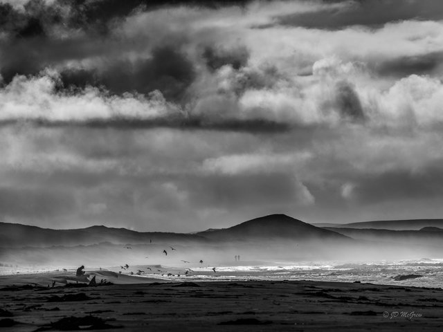 Deep in Meditation at Kehoe Beach, Tomales Bay #1