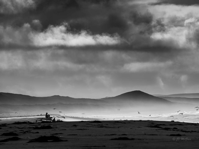 Deep in Meditation at Kehoe Beach, Tomales Bay #2