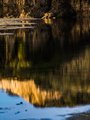Dawn at Drakes Beach in Brown and Blue, Tomales Bay