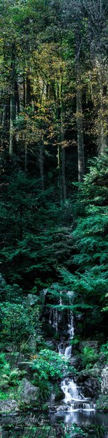 Sun's Rays on Forest and Waterfall Panorama