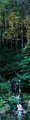 Sun's Rays on Forest and Waterfall Panorama
