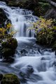 Pearsoney Falls in Oregon #1