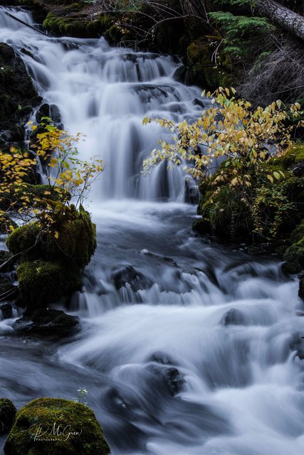 Pearsoney Falls in Oregon #1