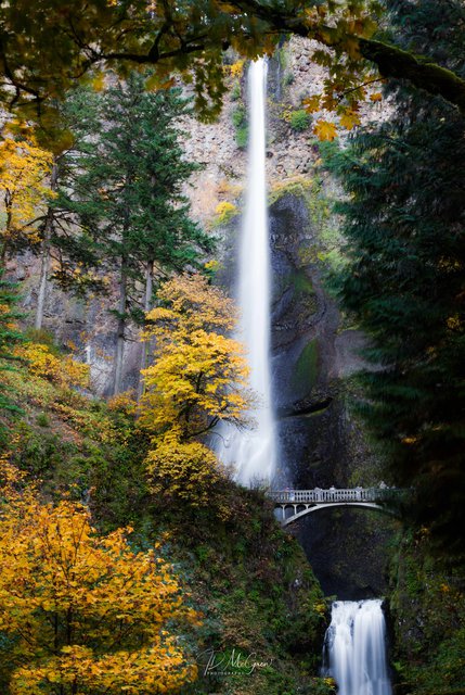 Multnomah Falls, Columbia River Gorge #2