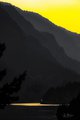 Yellow on Black on the Columbia River