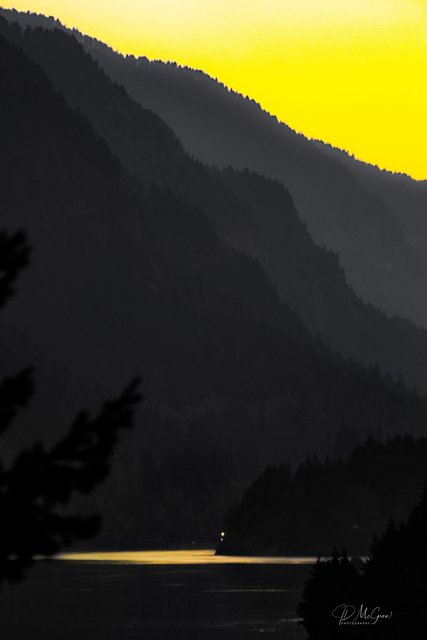 Yellow on Black on the Columbia River