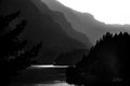 Cascade Locks, White on Black #1, horizontal