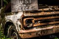 Rust in Piece in the Quinault Rain Forest