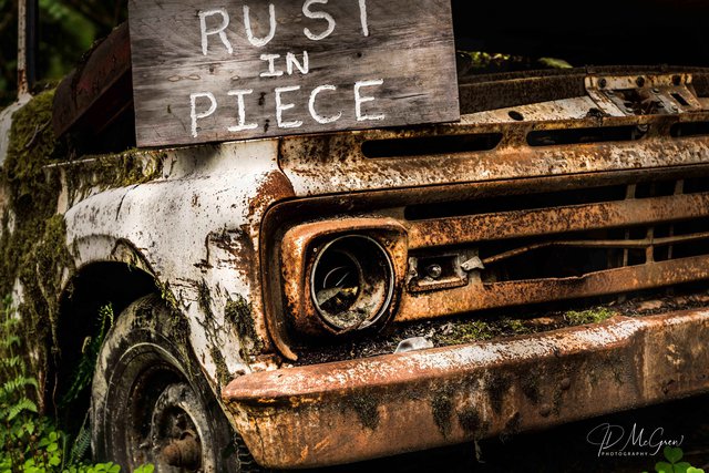 Rust in Piece in the Quinault Rain Forest