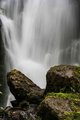 Merriman Falls in the Quinault Rain Forest #3