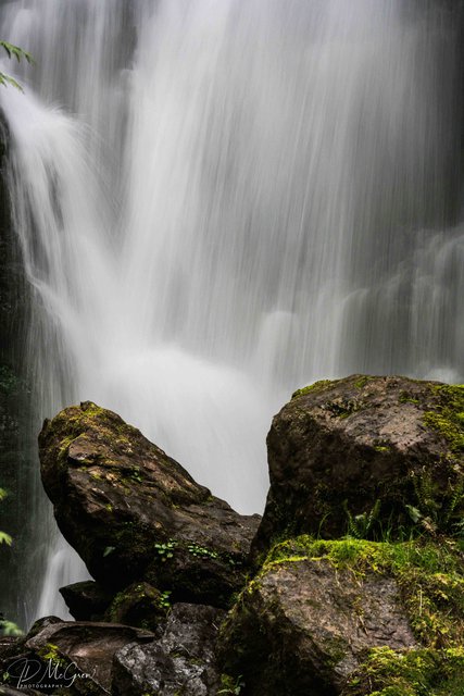 Merriman Falls in the Quinault Rain Forest #3