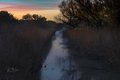 Creek and Sky at Dawn #1
