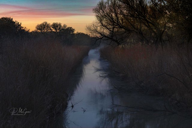 Creek and Sky at Dawn #1