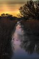 Creek and Sky at Dawn #2