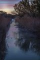 Creek and Sky at Dawn #3
