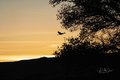 Landscapes - All