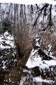Reflections of Snow and Trees in Yosemite's Merced River #1, vertical2