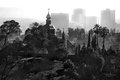 The Forest and the City, #4