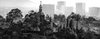 The Forest and the City, #5