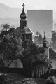 The Forest and the City, #7