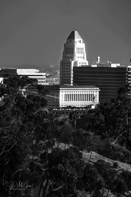 The Forest and the City, #8