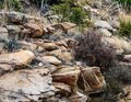 Craggy Outcroppings Along the Catalina Highway, Arizona #1, Panograph, horizontal