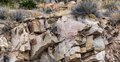 Craggy Outcroppings Along the Catalina Highway, Arizona #3, Panoramic, horizontal