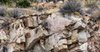 Craggy Outcroppings Along the Catalina Highway, Arizona #3, Panoramic, horizontal