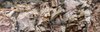 Craggy Outcroppings Along the Catalina Highway, Arizona #5, Panorama, horizontal